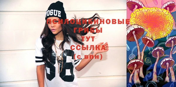 2c-b Волосово