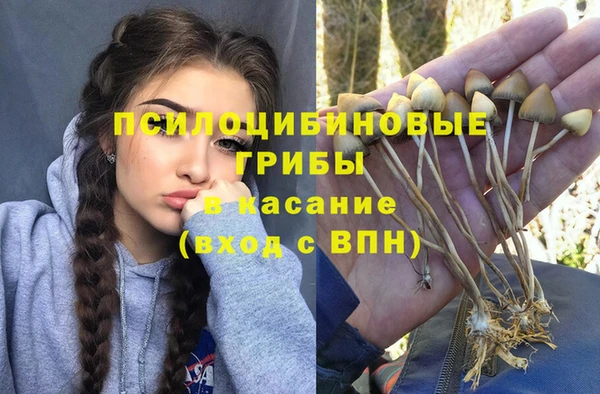 2c-b Волосово
