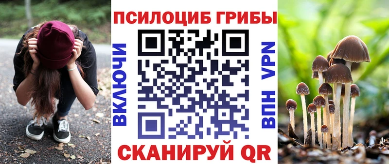 Купить  Киренск  Галлюциногенные грибы Psilocybe 