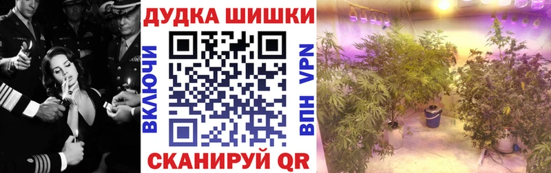 Канабис Bruce Banner  Купить где  Киренск 